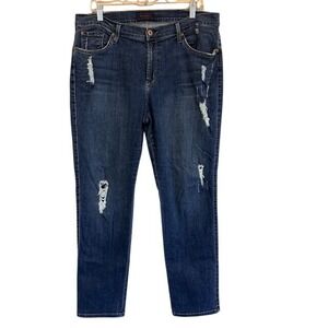 James Jeans Women's Distressed‎ Denim Twiggy Z Stretch Soft Jeans 14